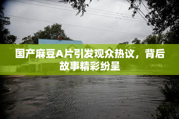 国产麻豆A片引发观众热议，背后故事精彩纷呈