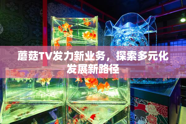 蘑菇TV发力新业务，探索多元化发展新路径