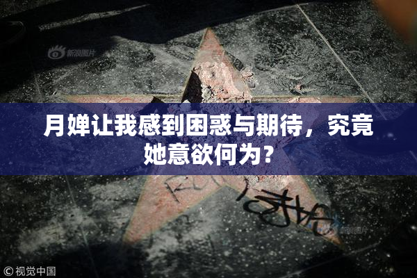 月婵让我感到困惑与期待，究竟她意欲何为？