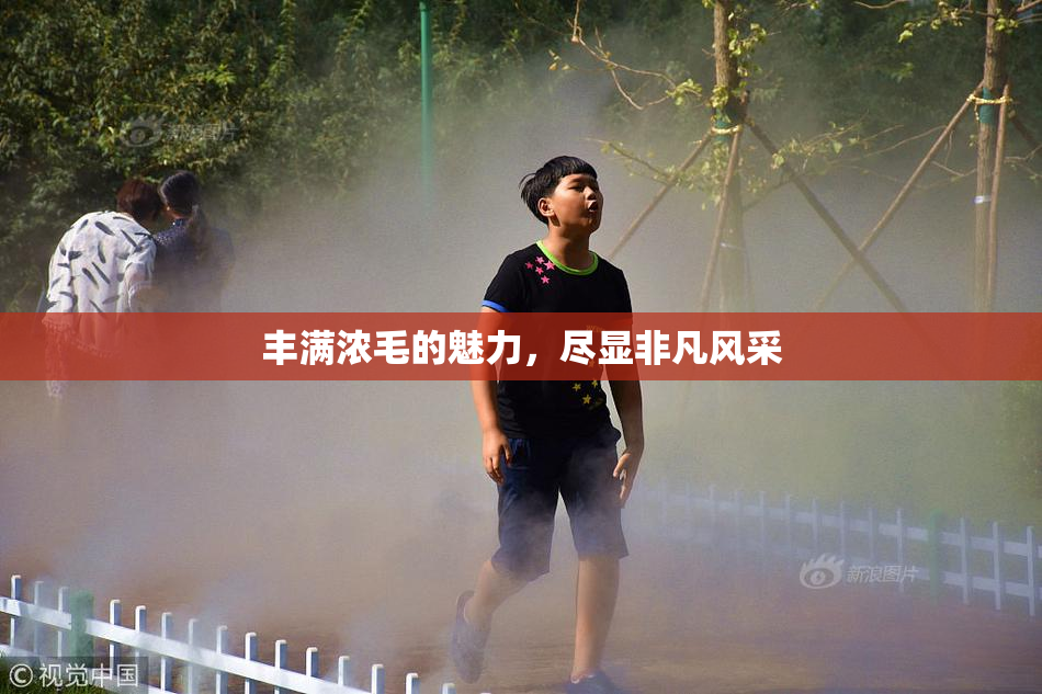 丰满浓毛的魅力，尽显非凡风采