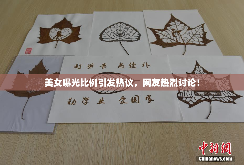 美女曝光比例引发热议，网友热烈讨论！