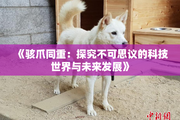 《骇爪同重：探究不可思议的科技世界与未来发展》
