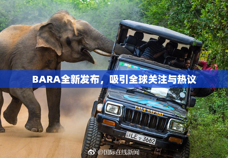 BARA全新发布，吸引全球关注与热议