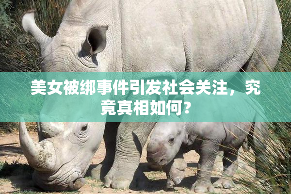 美女被绑事件引发社会关注，究竟真相如何？