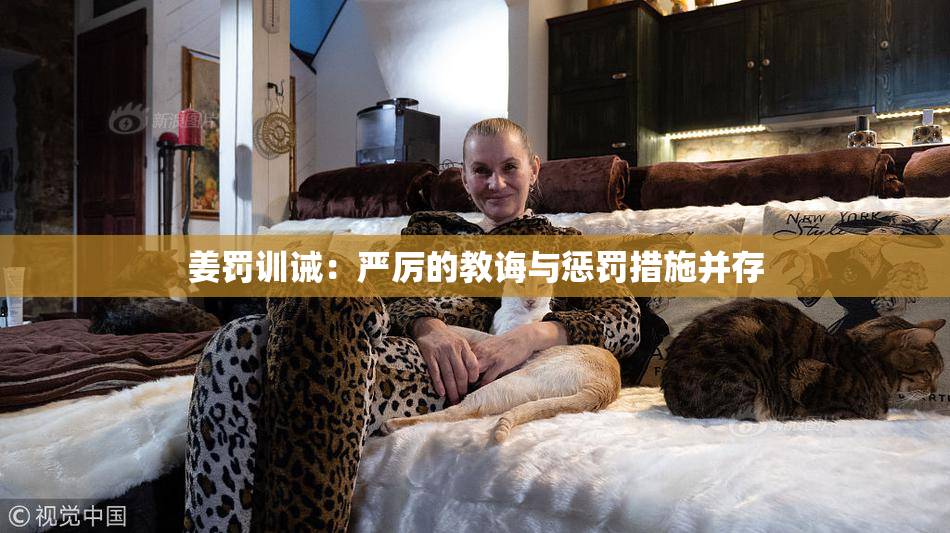 姜罚训诫：严厉的教诲与惩罚措施并存