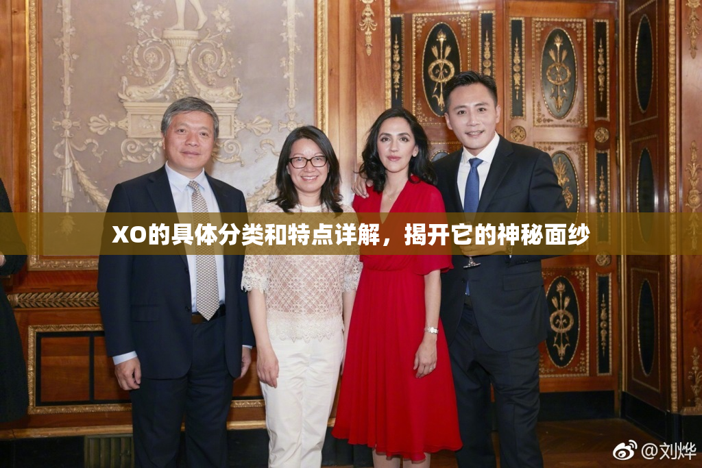 XO的具体分类和特点详解，揭开它的神秘面纱