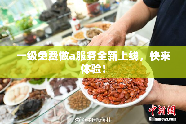 一级免费做a服务全新上线，快来体验！
