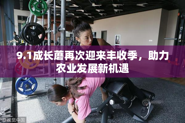 9.1成长蘑再次迎来丰收季，助力农业发展新机遇