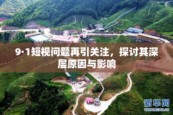 9·1短视问题再引关注，探讨其深层原因与影响