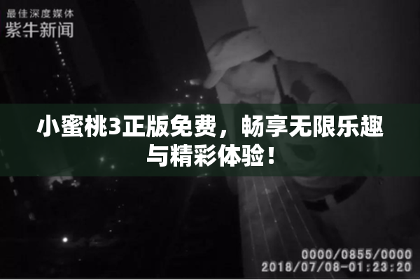 小蜜桃3正版免费，畅享无限乐趣与精彩体验！