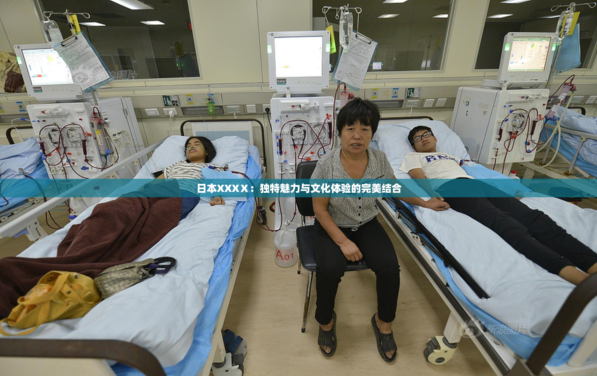 日本XXXⅩ：独特魅力与文化体验的完美结合