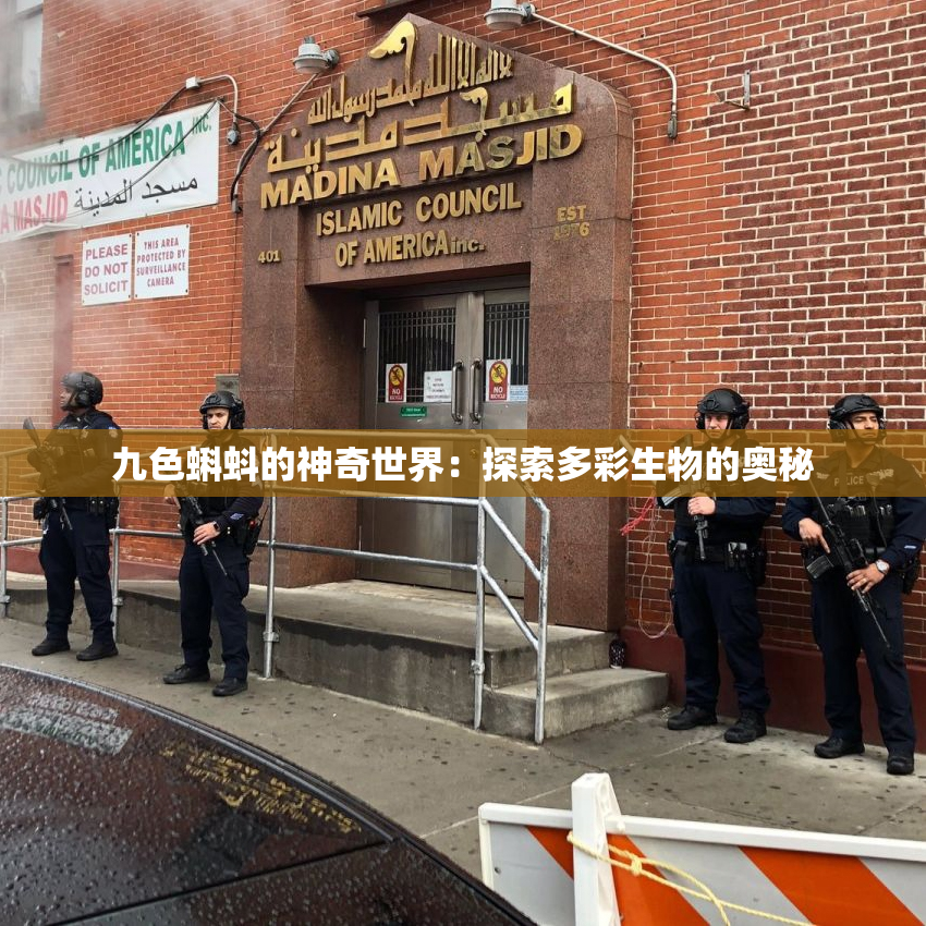 九色蝌蚪的神奇世界：探索多彩生物的奥秘
