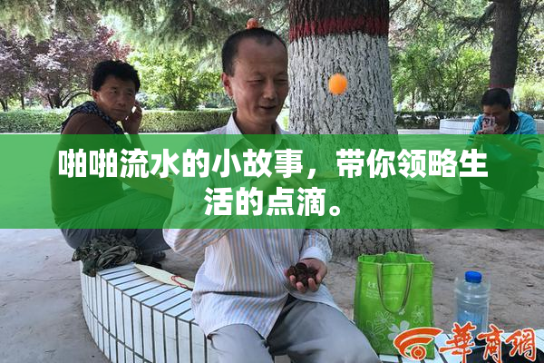 啪啪流水的小故事，带你领略生活的点滴。