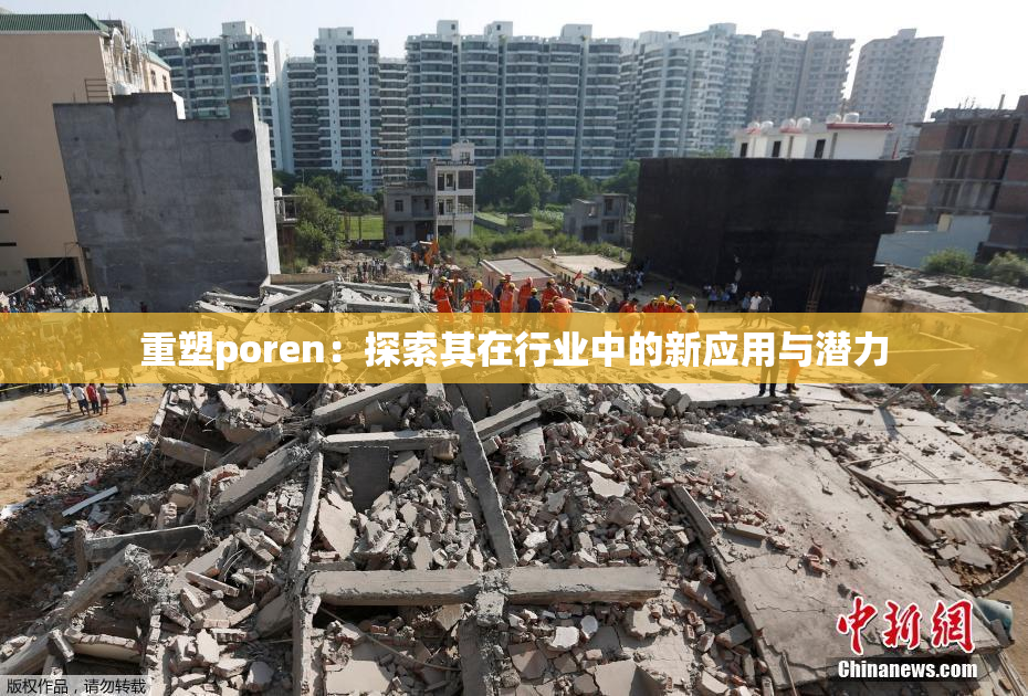 重塑poren：探索其在行业中的新应用与潜力