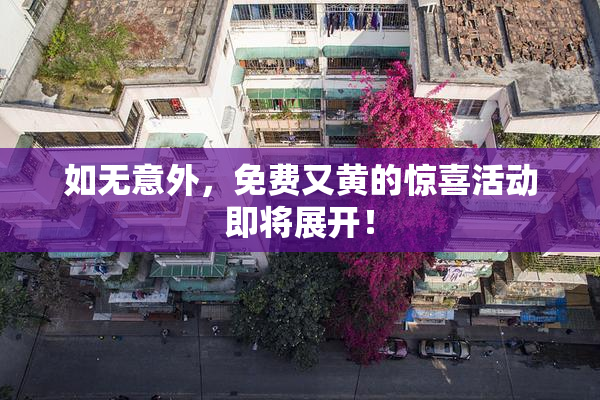如无意外，免费又黄的惊喜活动即将展开！