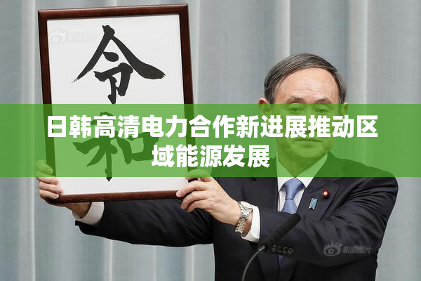 日韩高清电力合作新进展推动区域能源发展