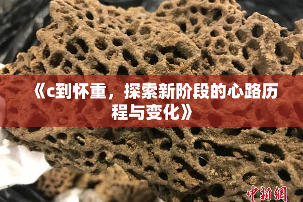 《c到怀重，探索新阶段的心路历程与变化》