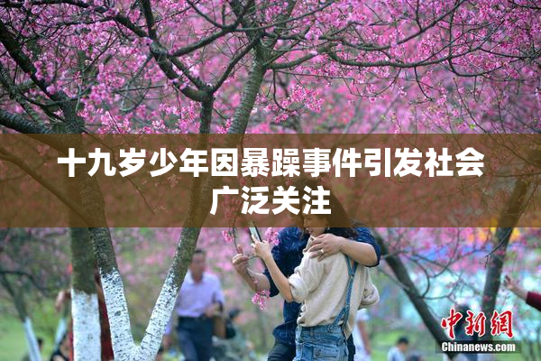 十九岁少年因暴躁事件引发社会广泛关注