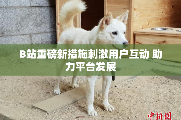 B站重磅新措施刺激用户互动 助力平台发展