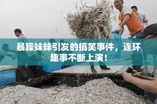 暴躁妹妹引发的搞笑事件，连环趣事不断上演！