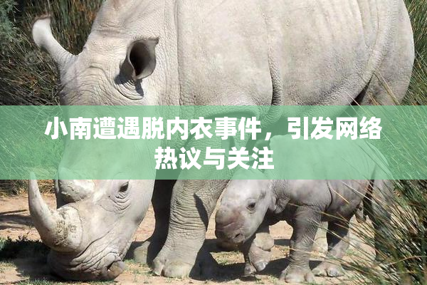 小南遭遇脱内衣事件，引发网络热议与关注