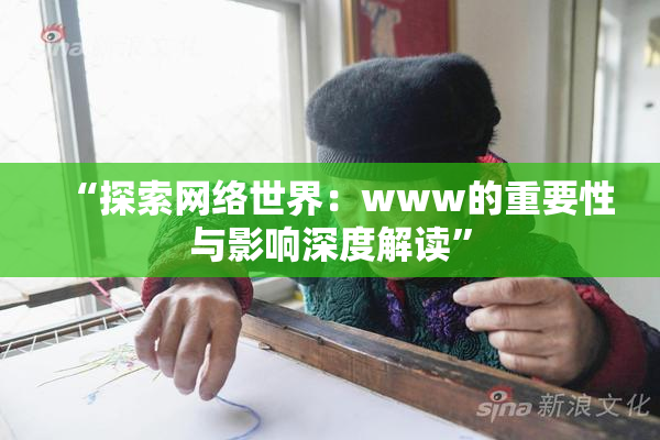 “探索网络世界：www的重要性与影响深度解读”