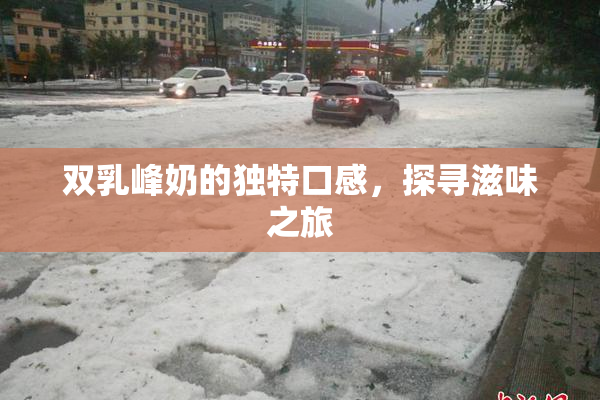 双乳峰奶的独特口感，探寻滋味之旅