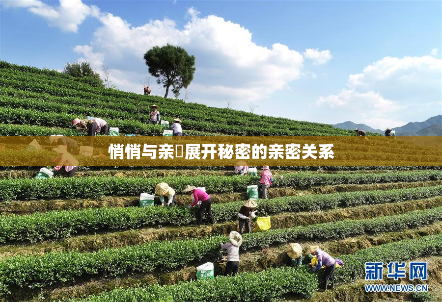 悄悄与亲妺展开秘密的亲密关系