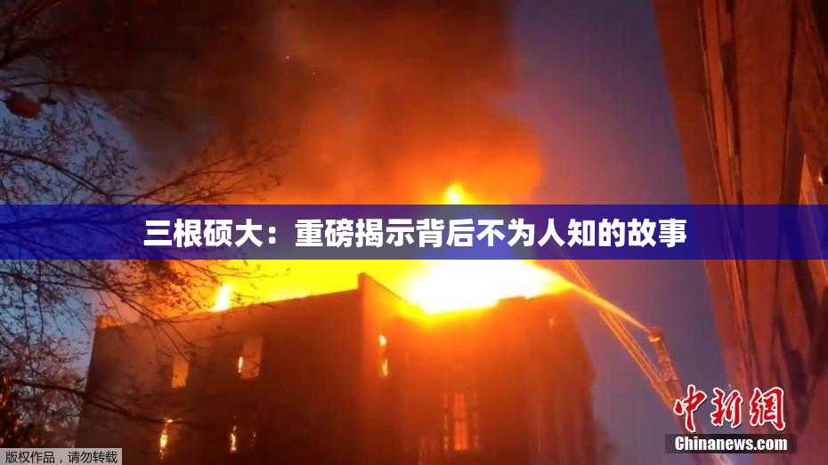 三根硕大：重磅揭示背后不为人知的故事