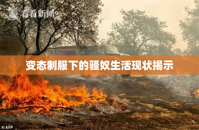 变态制服下的骚奴生活现状揭示