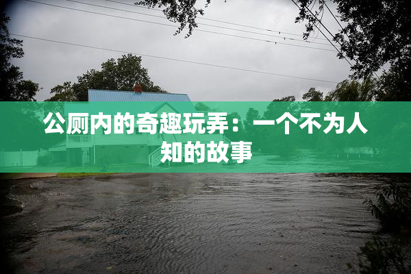 公厕内的奇趣玩弄：一个不为人知的故事