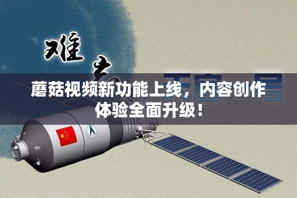 蘑菇视频新功能上线，内容创作体验全面升级！