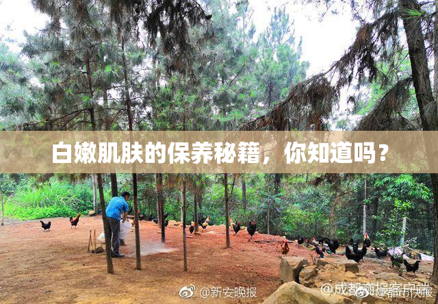 白嫩肌肤的保养秘籍，你知道吗？