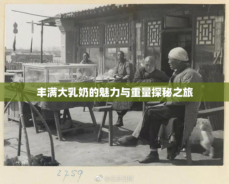 丰满大乳奶的魅力与重量探秘之旅