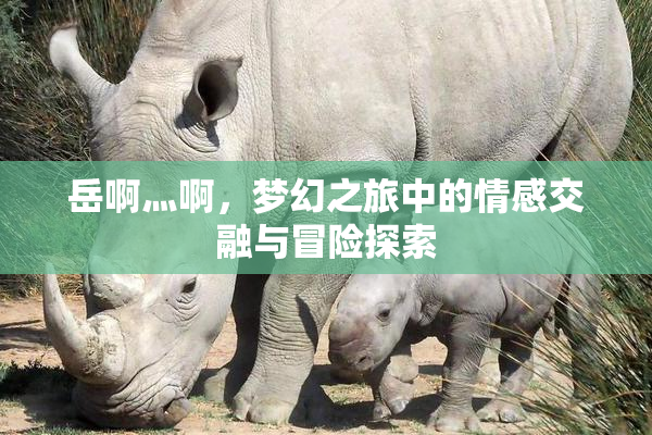 岳啊灬啊，梦幻之旅中的情感交融与冒险探索