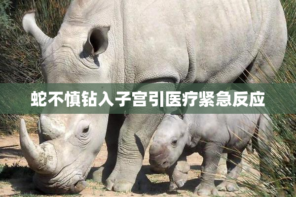 蛇不慎钻入子宫引医疗紧急反应