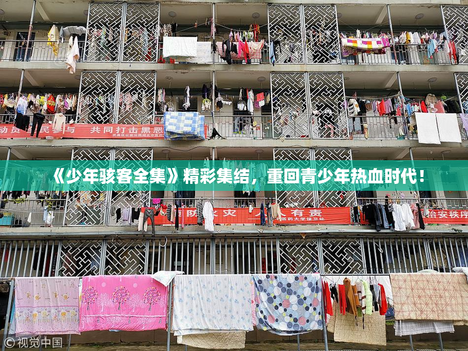 《少年骇客全集》精彩集结，重回青少年热血时代！