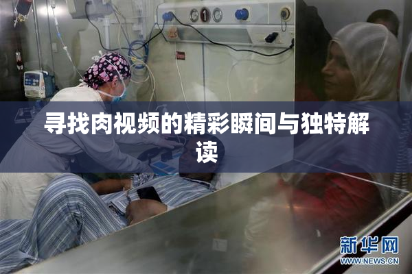 寻找肉视频的精彩瞬间与独特解读
