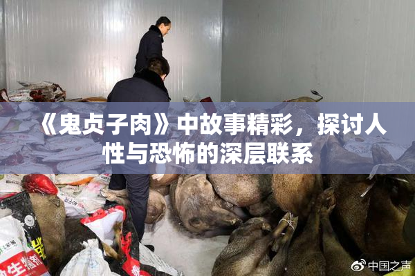 《鬼贞子肉》中故事精彩，探讨人性与恐怖的深层联系