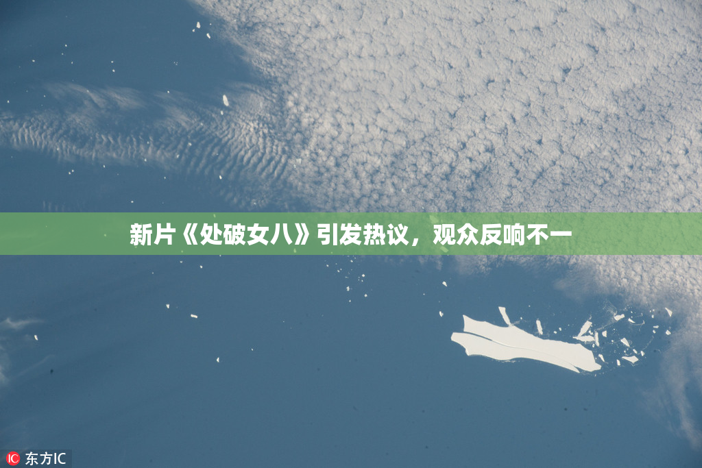 新片《处破女八》引发热议，观众反响不一