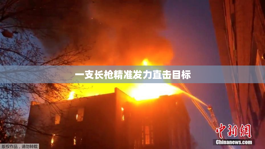 一支长枪精准发力直击目标