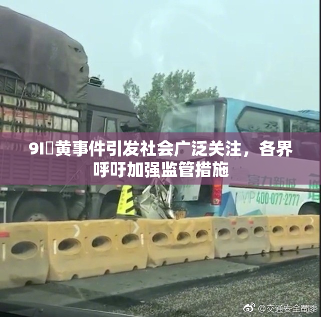 9I婬黄事件引发社会广泛关注，各界呼吁加强监管措施