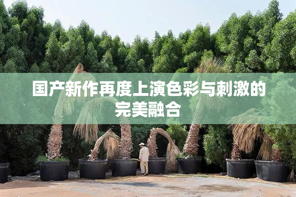 国产新作再度上演色彩与刺激的完美融合