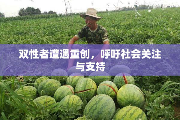 双性者遭遇重创，呼吁社会关注与支持