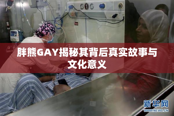 胖熊GAY揭秘其背后真实故事与文化意义