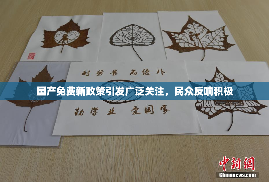 国产免费新政策引发广泛关注，民众反响积极