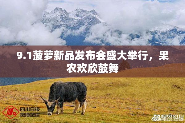 9.1菠萝新品发布会盛大举行，果农欢欣鼓舞