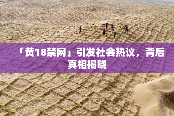 「黄18禁网」引发社会热议，背后真相揭晓