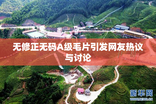 无修正无码A级毛片引发网友热议与讨论