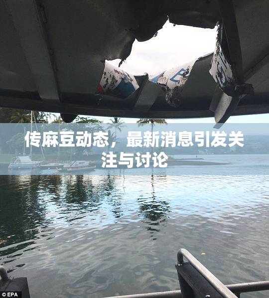 传麻豆动态，最新消息引发关注与讨论